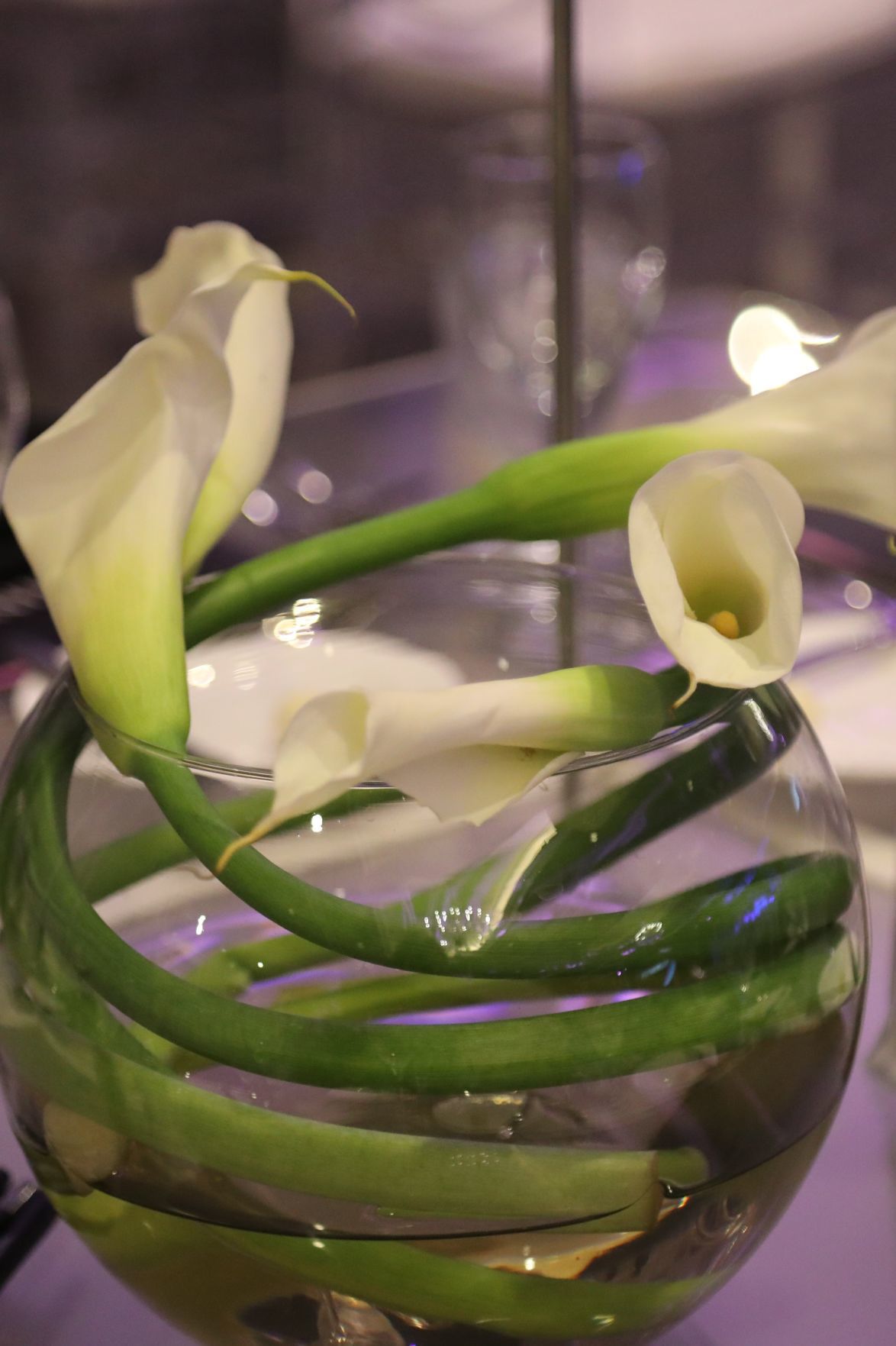 2018-Illumination-Gala031.JPG